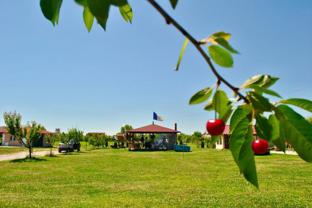 Camping La Foisor Turda Bagian luar foto