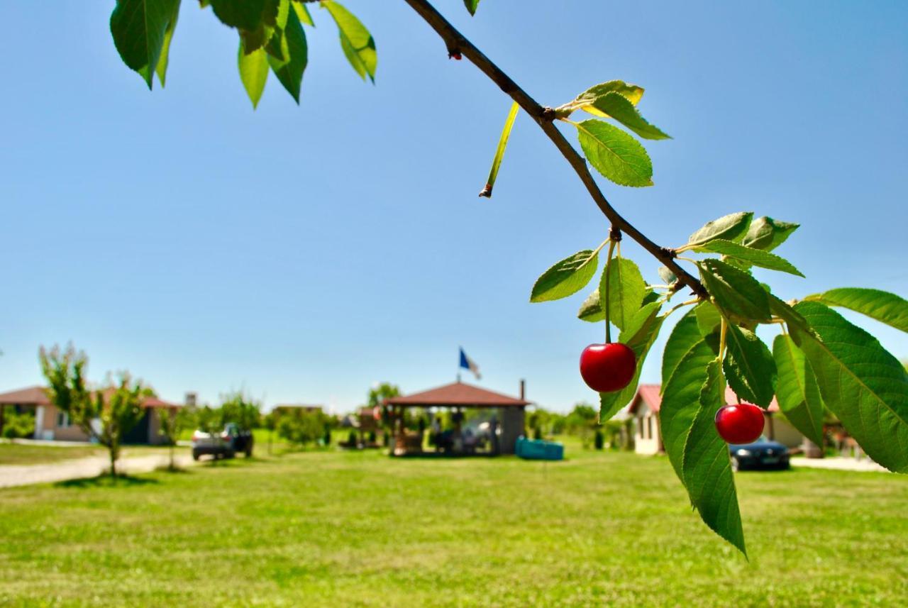 Camping La Foisor Turda Bagian luar foto