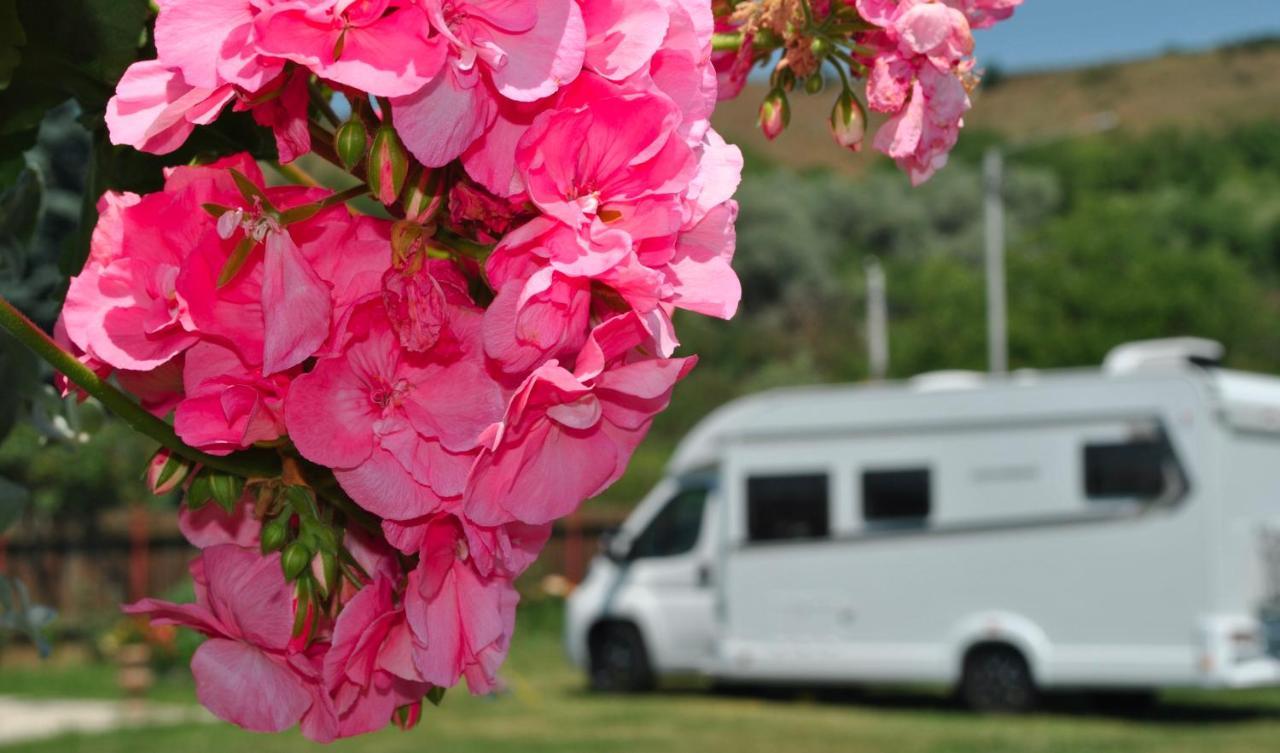 Camping La Foisor Turda Bagian luar foto